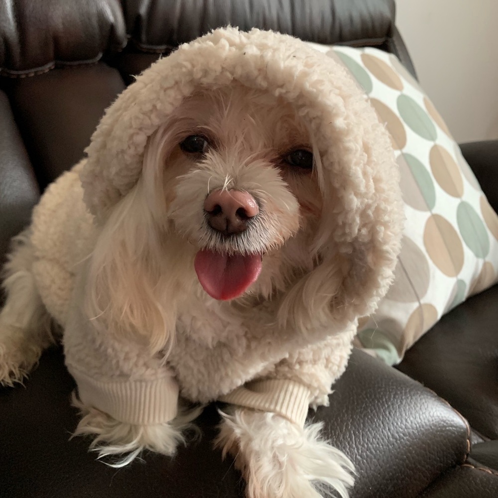 Meet your Posher, Lea